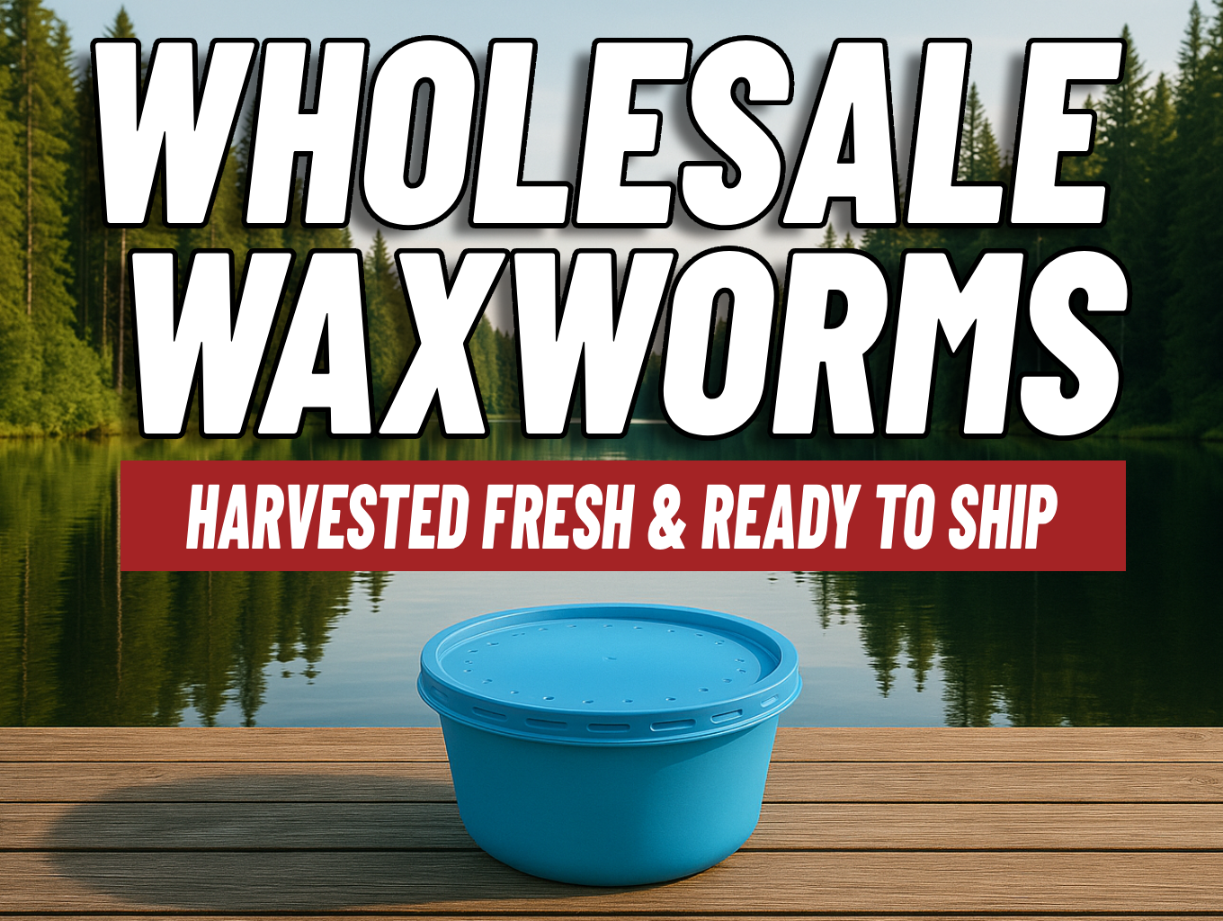 Wholesale waxworms for sale – live bait in 250 count cups, fresh and ready to ship from UP North Worms.